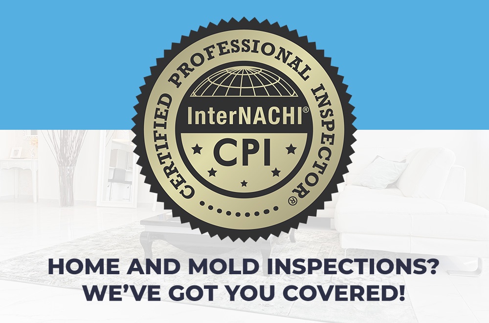 Home And Mold Inspections? We’ve Got You Covered!